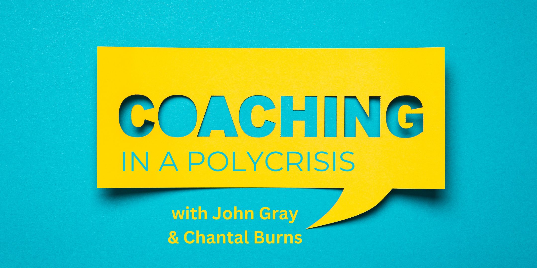 Coaching in a Polycrisis