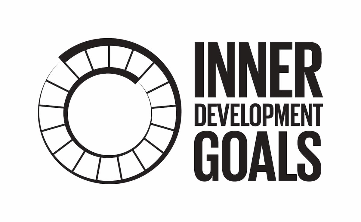 What are the Inner Development Goals (IDGs)?